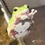Tsubasaのプロフィール画像