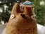 Azukiのプロフィール画像