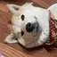 ひろさんのプロフィール画像