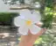 里紗のプロフィール画像