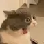 まりあのプロフィール画像
