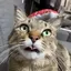 だっちゃんのプロフィール画像