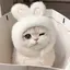 mのプロフィール画像