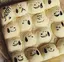 cのプロフィール画像