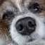 みゆりのプロフィール画像