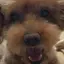 rのプロフィール画像