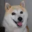 すーのプロフィール画像