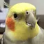 みすみのプロフィール画像