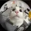 mmkのプロフィール画像