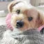 みかのプロフィール画像
