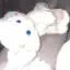 🍚のプロフィール画像