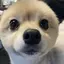 ゆかのプロフィール画像