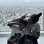 るんのプロフィール画像