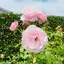 夕藤のプロフィール画像