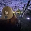 紗来のプロフィール画像