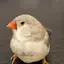 みーのプロフィール画像