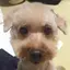 みやまろのプロフィール画像