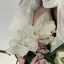 ぽちゃまのプロフィール画像