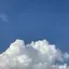 mのプロフィール画像