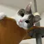 meg846のプロフィール画像