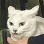むねのプロフィール画像
