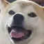 せいのプロフィール画像