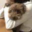 りこみうらのプロフィール画像