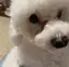 ayakaのプロフィール画像