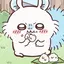 ちゃんちゃんのプロフィール画像