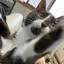なのプロフィール画像