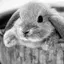 NARUMIのプロフィール画像