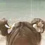 tamakiのプロフィール画像