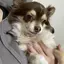 かなぽのプロフィール画像
