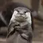 わちゃのプロフィール画像