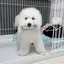 なつみのプロフィール画像