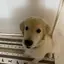 rikaのプロフィール画像