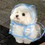はなのプロフィール画像