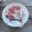 🥗のプロフィール画像