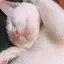 あきのプロフィール画像