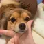 かれんのプロフィール画像