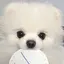 めみのプロフィール画像