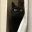 はなのプロフィール画像