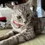 りなのプロフィール画像