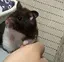 めのプロフィール画像