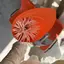 はやこのプロフィール画像