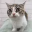 雅のプロフィール画像