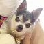 ひかるのプロフィール画像