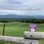 KAYAのプロフィール画像