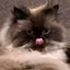 楓のプロフィール画像