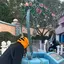 Ryokaのプロフィール画像